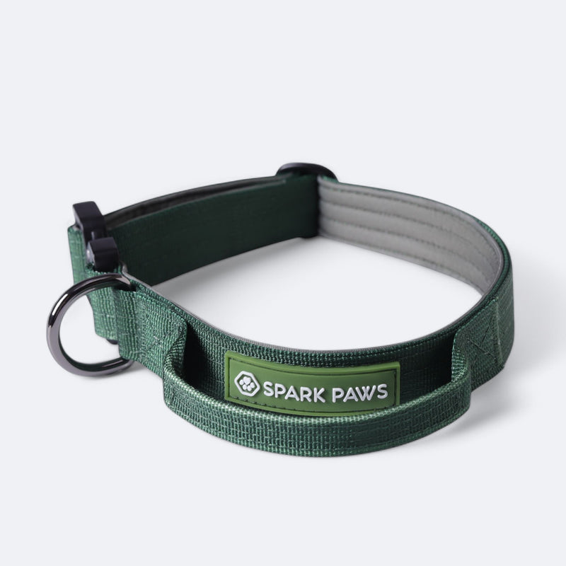 Taktisches Halsband für große Hunde - Grün