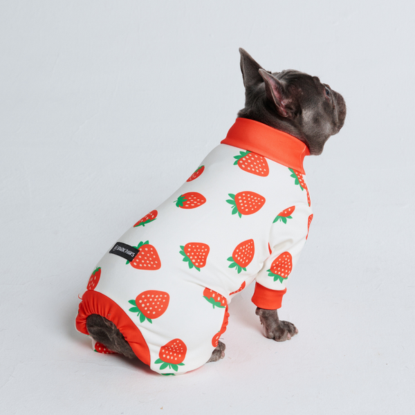 Hunde Pyjama - Erdbeeren
