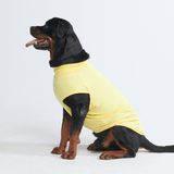 Yellow Shirt