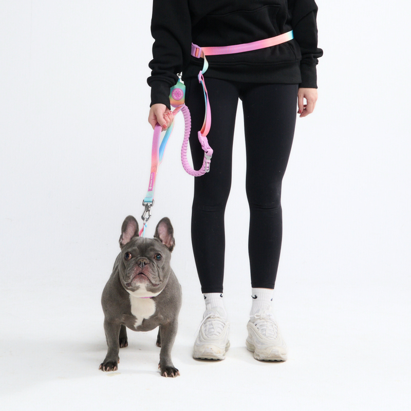 Pastel Icing Neoprene Leash