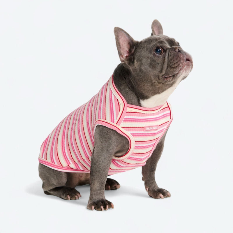 Gestreiftes Shirt - Rosa Rot