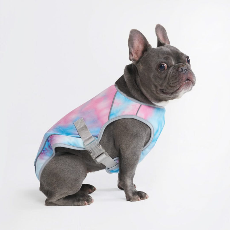 Hundekühlweste - Snow Cone