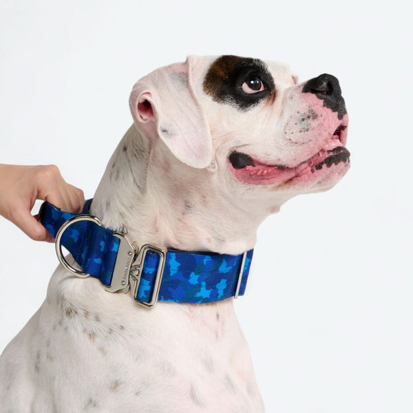 Komfort-Kontrollhalsband - Blau Camo