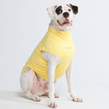 Yellow Shirt
