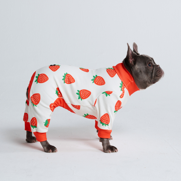 Hunde Pyjama - Erdbeeren
