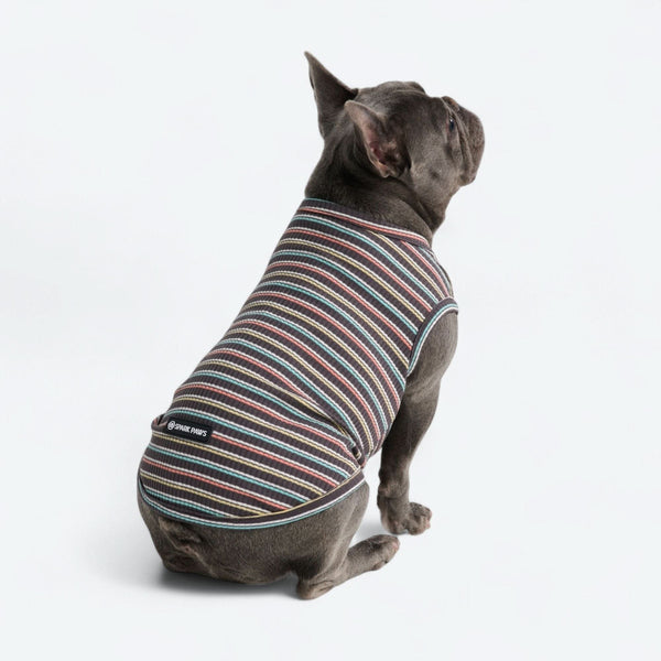 Gestreiftes Shirt - Schwarz Koralle