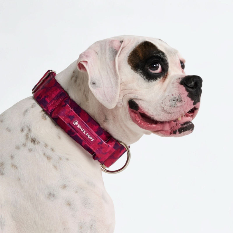 Komfort-Kontrollhalsband - Fuchsia Camo
