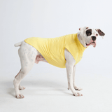 Yellow Shirt