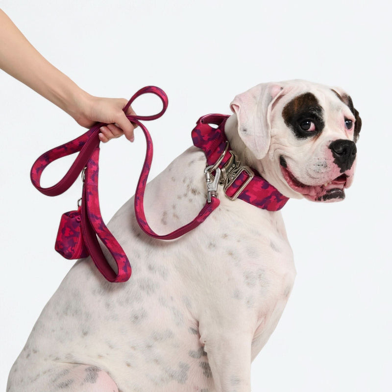 Leinen- und Kotbeutelhalter-Set - Fuchsia Camo