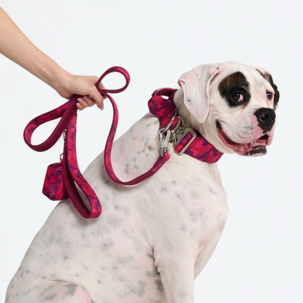 Komfort-Kontrollhalsband-Set - Fuchsia Camo