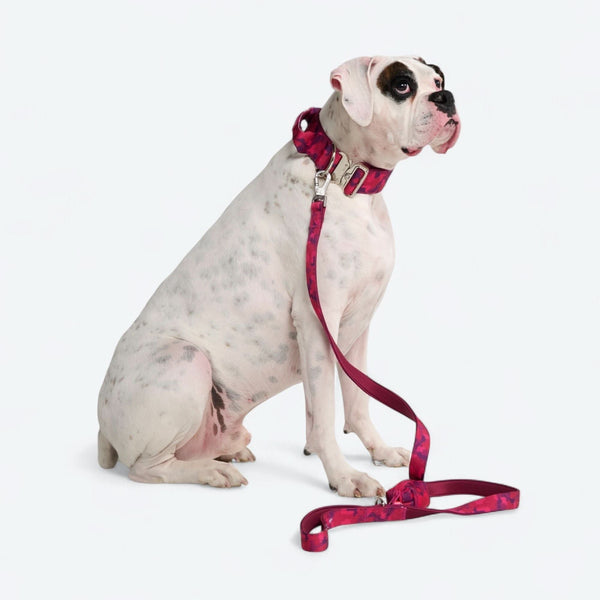 Leinen- und Kotbeutelhalter-Set - Fuchsia Camo
