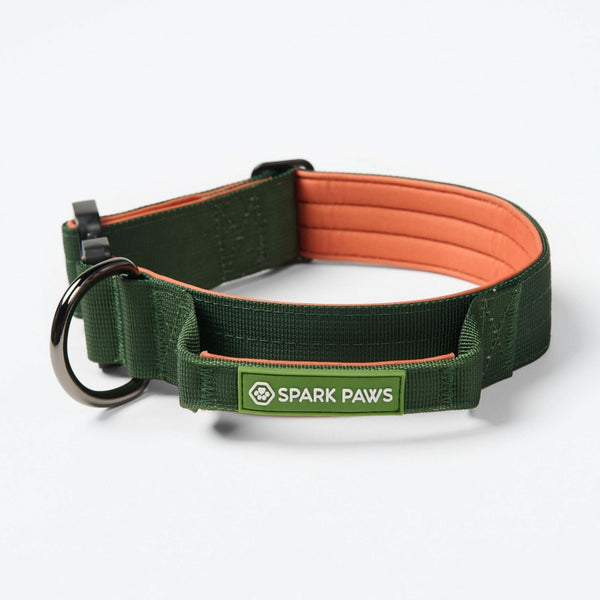 Komfort-Kontrollhalsband-Set - Grün Orange