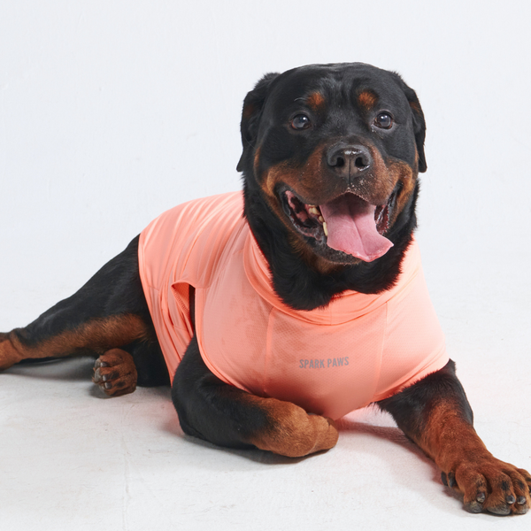 Sunblock Hunde-T-Shirt – Pfirsich