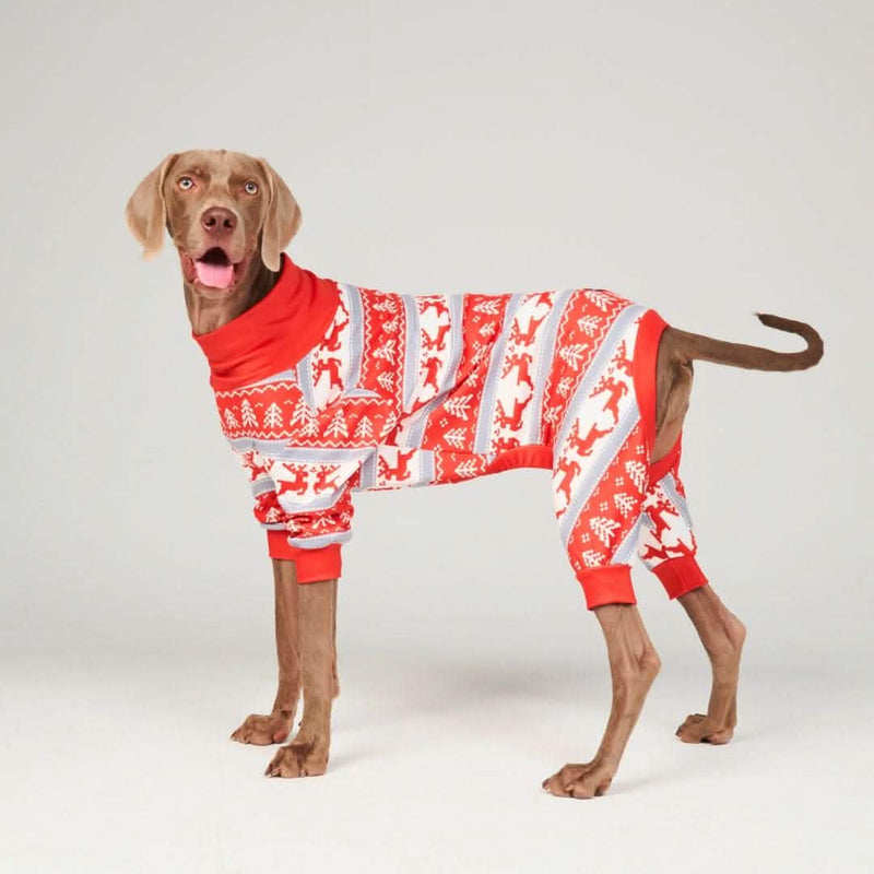 Weihnachtspyjama für Hunde - Winterwunderland