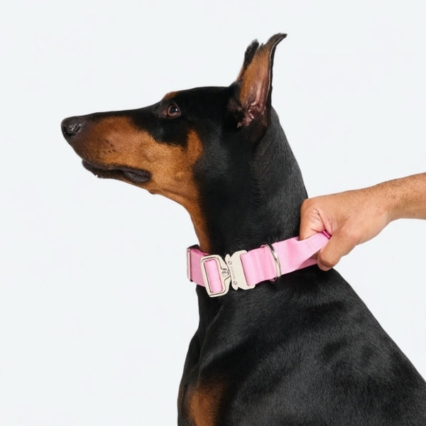 Komfort-Kontrollhalsband-Set - Rosa