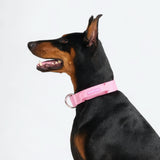 Komfort-Kontrollhalsband-Set - Rosa