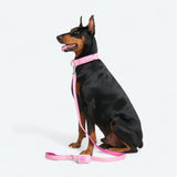 Komfort-Kontrollhalsband-Set - Rosa