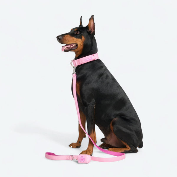 Komfort-Kontrollhalsband-Set - Rosa