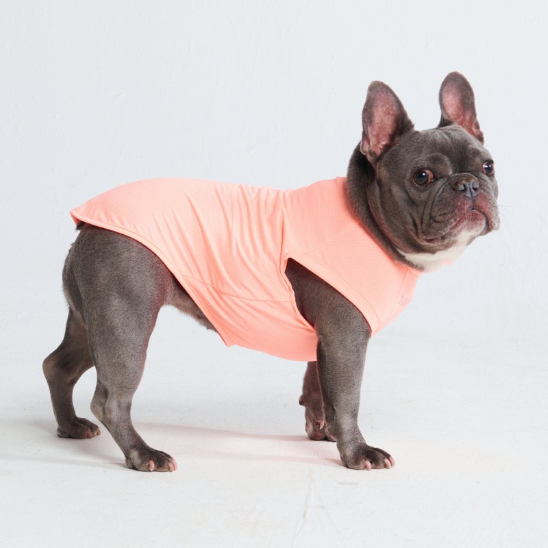 Sunblock Hunde-T-Shirt – Pfirsich