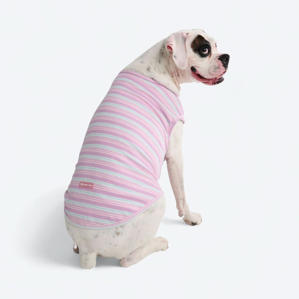 Gestreiftes Shirt - Lila Blau