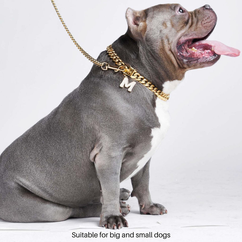 Gold choker chain dog discount