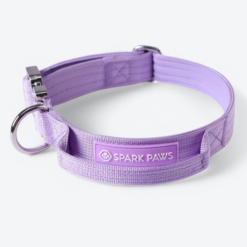 Taktisches Halsband für große Hunde - Lila