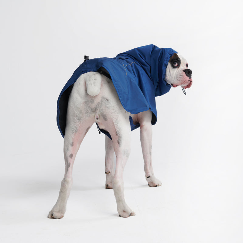 Breatheshield™️ Hunderegenmantel - Königsblau