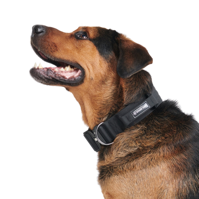 Taktisches Halsband für große Hunde - Schwarz