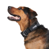Taktisches Hundehalsband- und Leinen-Set - Schwarz
