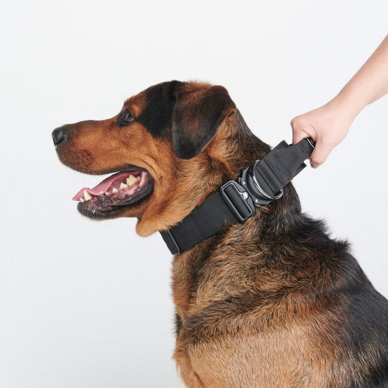 Taktisches Hundehalsband- und Leinen-Set - Schwarz