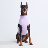 Purple Shirt