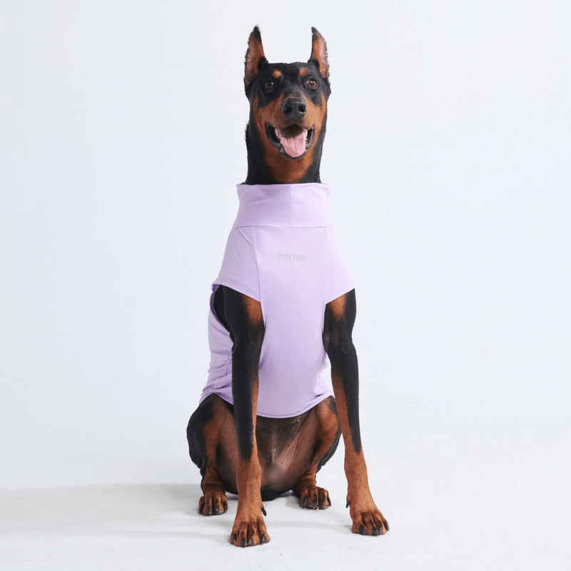 Purple Shirt
