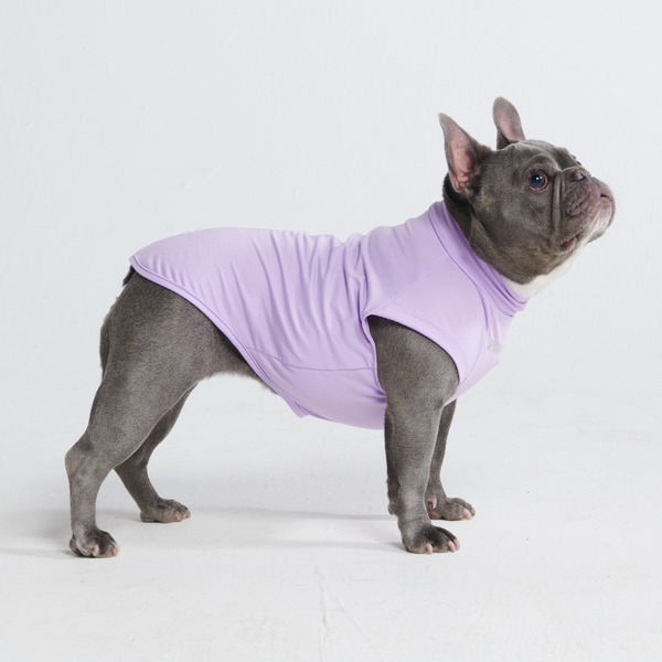 Sunblock Hunde-T-Shirt – Lila