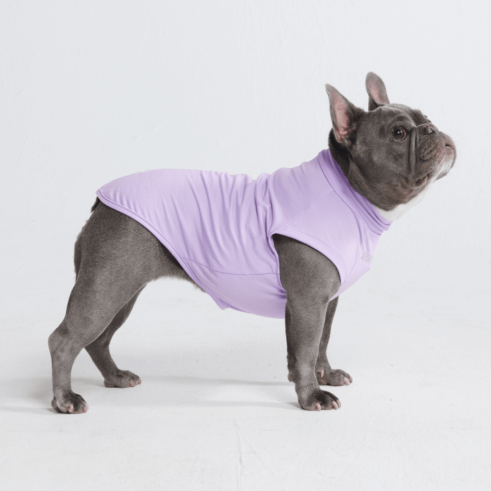 Sonnenschutz-Hunde-T-Shirts – SPARK PAWS