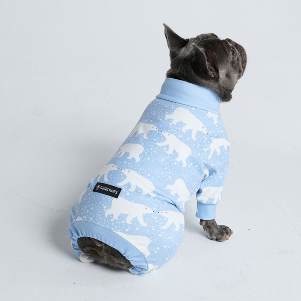 Hunde Pyjama - Schnee-Eisbär