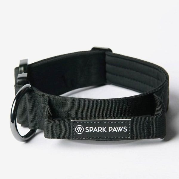 Taktisches Hundehalsband- und Leinen-Set - Schwarz