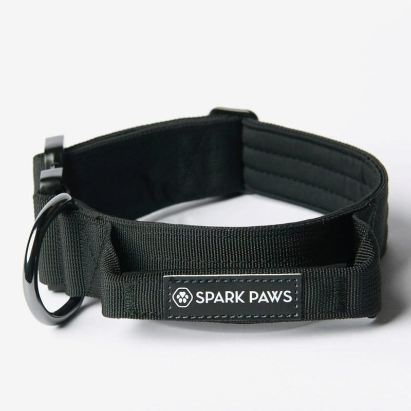 Taktisches Hundehalsband- und Leinen-Set - Schwarz