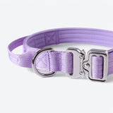 Taktisches Halsband für große Hunde - Lila
