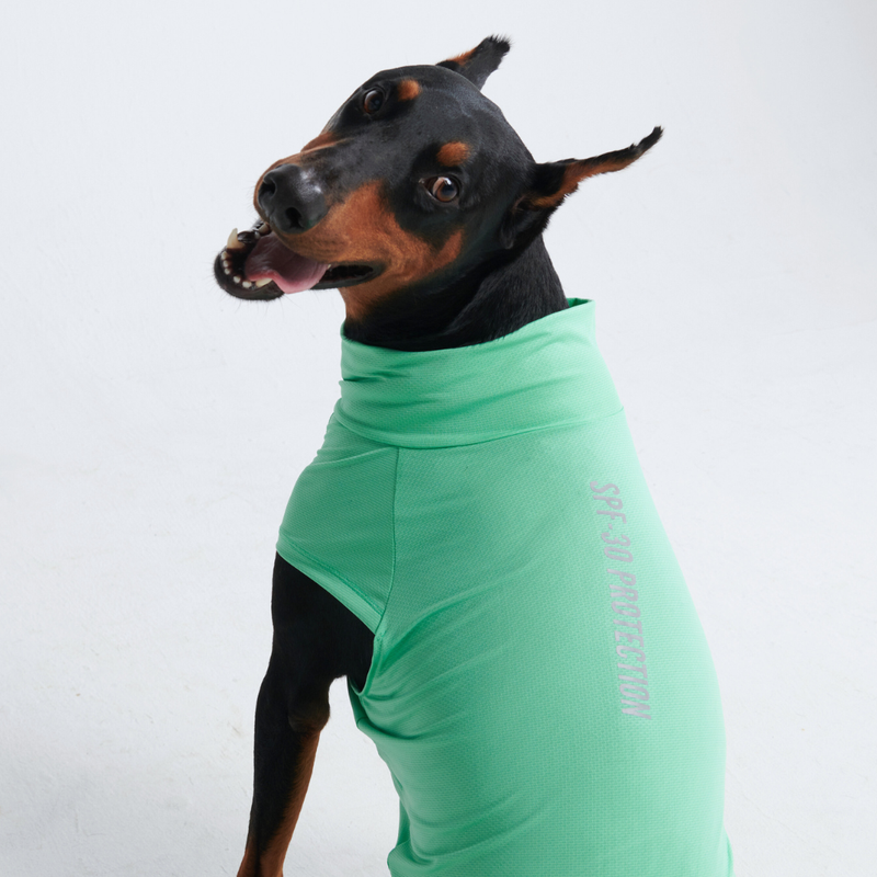 Mint Shirt
