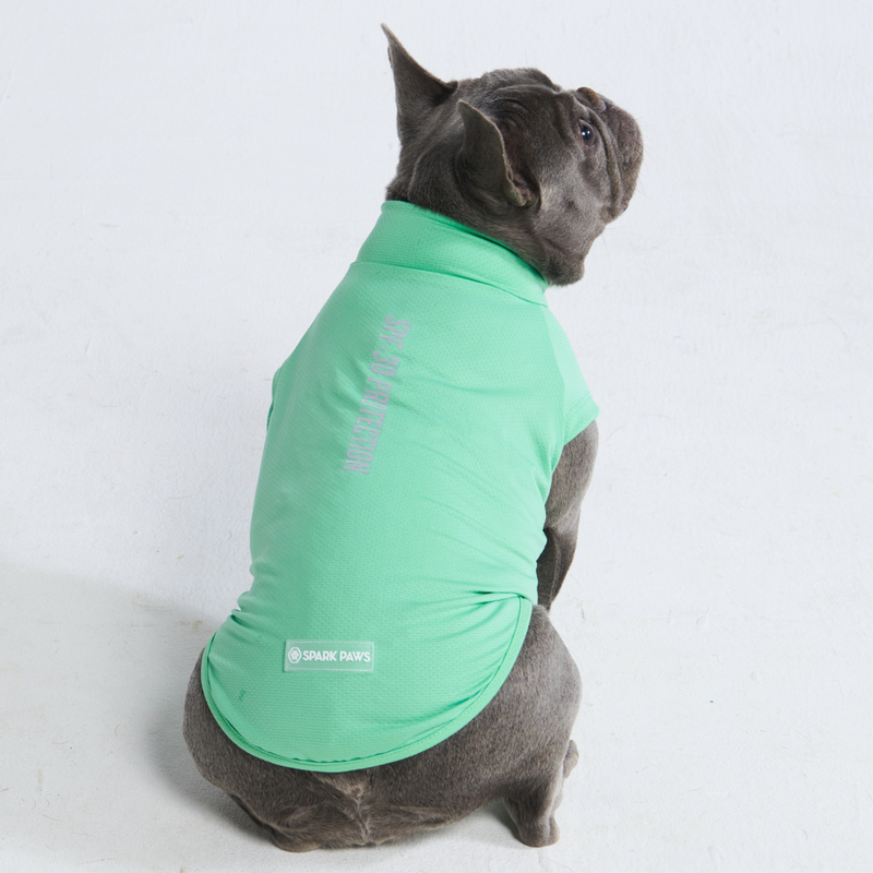 Sunblock Hunde-T-Shirt – Mint