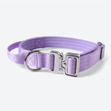 Taktisches Halsband für große Hunde - Lila