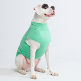 Sunblock Hunde-T-Shirt – Mint