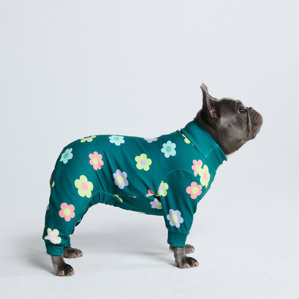 Hunde Pyjama - Blumen Grün
