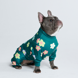 Hunde Pyjama - Blumen Grün
