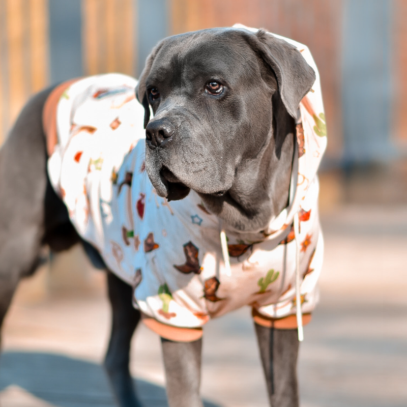 size:S,M,L,XL,2XL,3XL,4XL,5XL