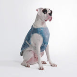 Ice Blue Cooling Vest