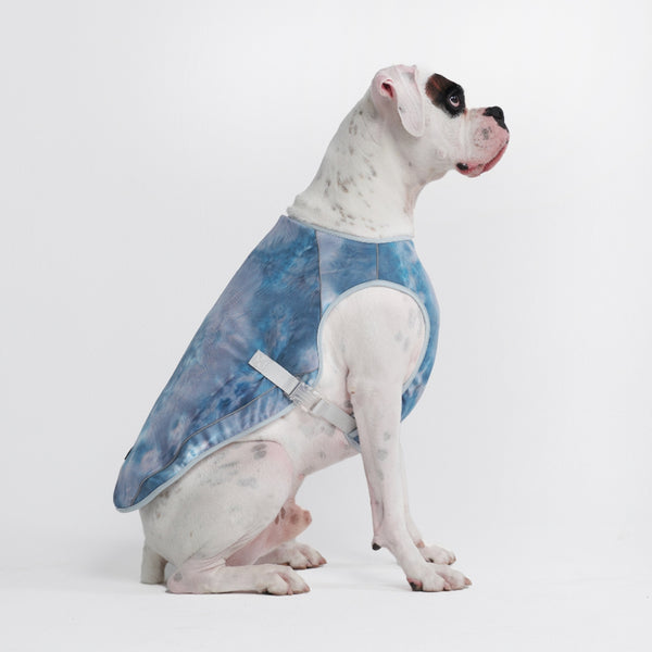 Hundekühlweste - Eisblau