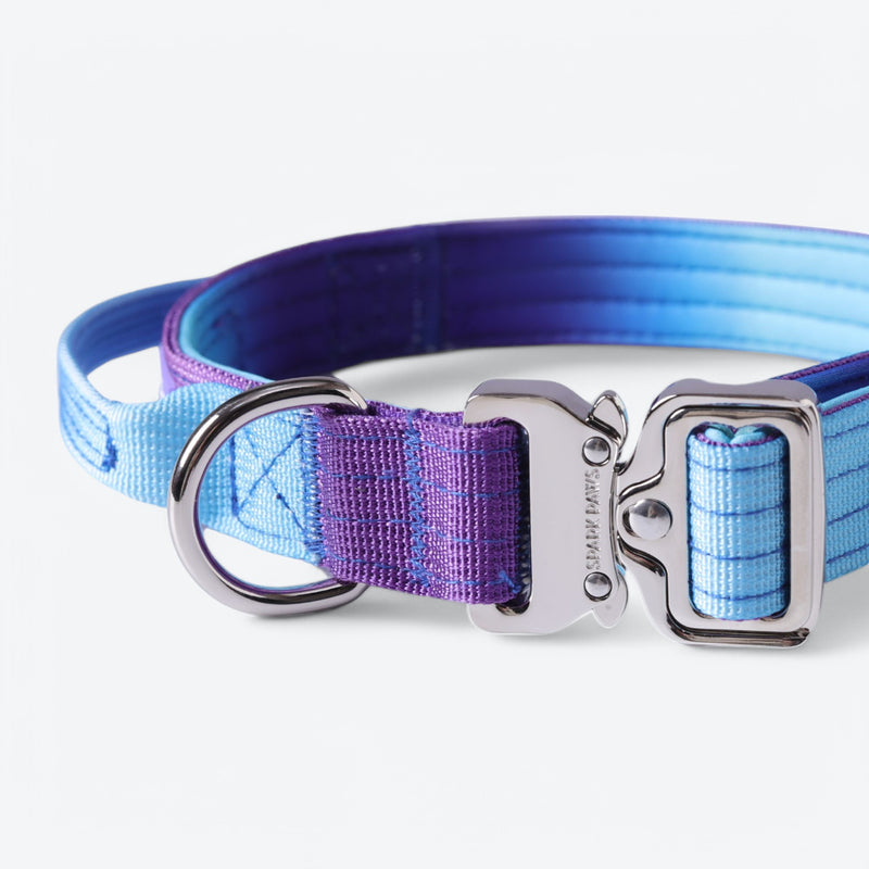 Taktisches Hundehalsband - und Leinen-Set - 90s Retro