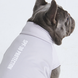 Sunblock Hunde-T-Shirt – Grau