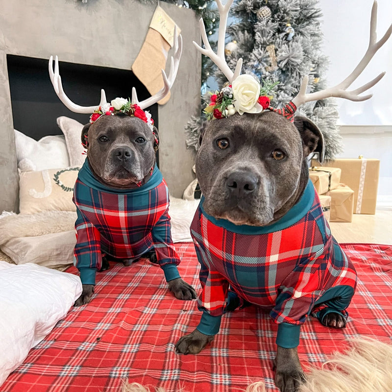 Hundepyjama – Grün und Rot kariert